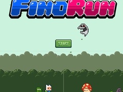 Fino Run