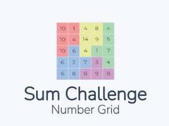 Sum Challenge Number Grid