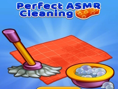 Perfect Asmr Cleaning