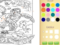 Sea Animal Coloring Book
