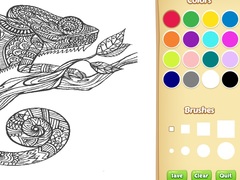 Adult Animal Coloring Book for Kids