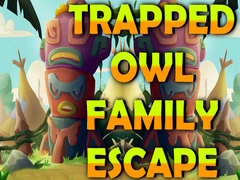 Trapped Owl Family Escape