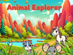 Animal Explorer 