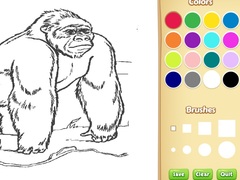 Zoo Animals Coloring Book for Kids