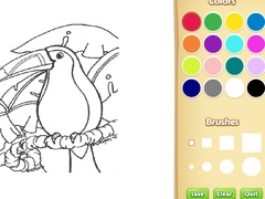Amazon Rainforest Coloring Book for Kids