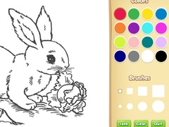 Bunny Coloring Book For Kids