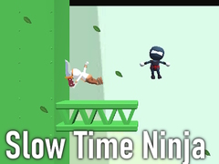 Slow Time Ninja