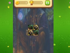 Magic Druid Memory Match