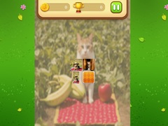 Farm Cat Memory Match