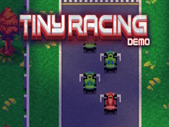 Tiny Racing Demo.