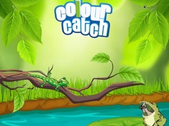 Colour Catch