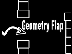 Geometry Flap