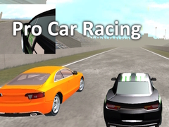 Pro Car Racing