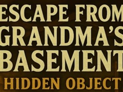 Escape From Grandma's Basement Hidden Object