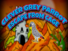 Clever Grey Parrot Escape from Cage