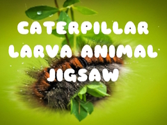 Caterpillar Larva Animal Jigsaw