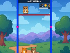 Evolution Of Hamsters