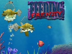 Feeding Frenzy