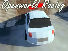 Openworld Racing