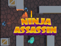 Ninja Assassin