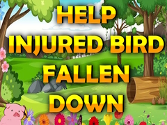 Help Injured Bird Fallen Down