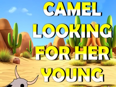 Camel Looking For Her Young