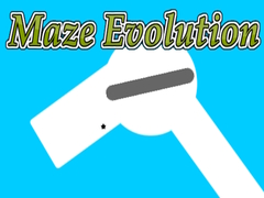 Maze Evolution