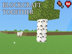 BlockCraft Together