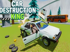 Car Destruction King