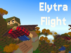 Elytra Flight