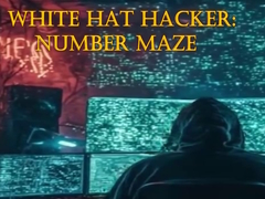 White Hat Hacker: Number Maze