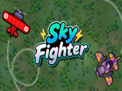 Sky Fighter