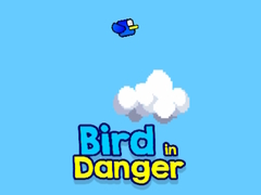 Bird in Danger