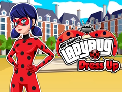 Miraculous Ladybug Dress Up