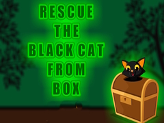 Rescue the Black Cat from Box