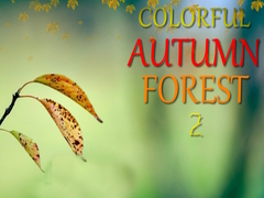 Colorful Autumn Forest 2