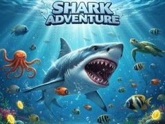 Shark Adventure