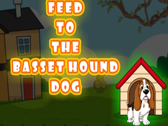 Feed to the Basset Hound Dog