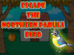 Escape the Northern Parula Bird