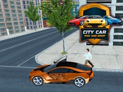 City Car Pick And Drop 