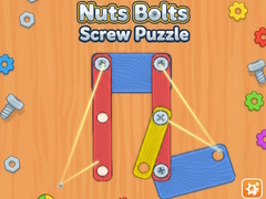 Nuts Bolts Screw Puzzle