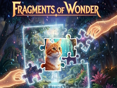 Fragments of Wonder