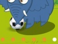 Soccer Safari