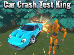 Car Crash Test King