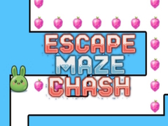 Escape Maze Chush
