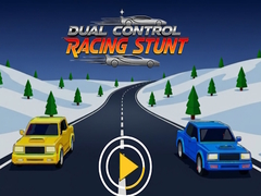 Dual Control Racing Stunt 