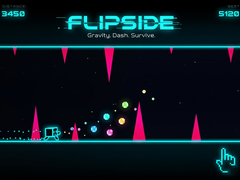Flipside