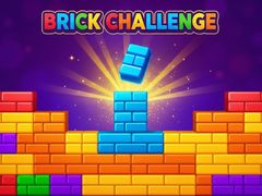 Brick Challenge