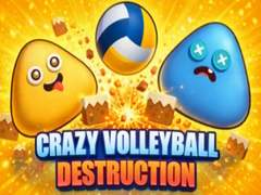 Crazy Volleyball Destruction