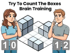 Try To Count The Boxes Brain Training
